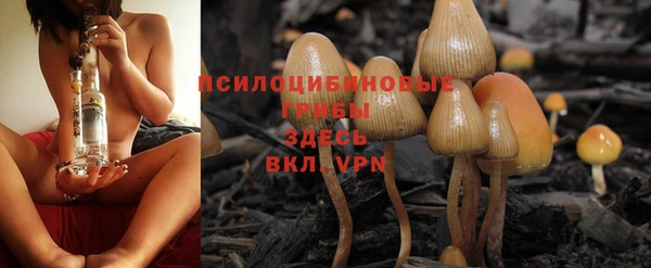 соль ск Аркадак