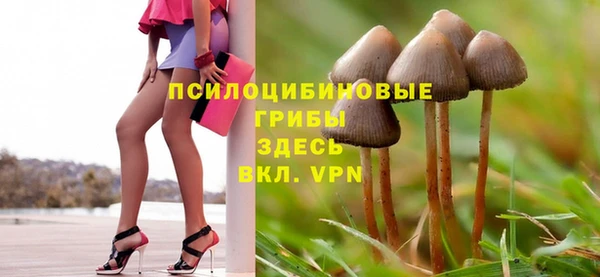 метадон Армянск